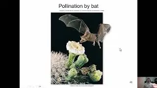 ENVS 101   Coevolution