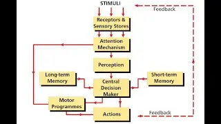HPL 2 - 04 INFORMATION PROCESSING