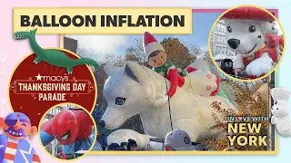 🎈 Macy's Thanksgiving Day Parade Balloon Inflation 2024