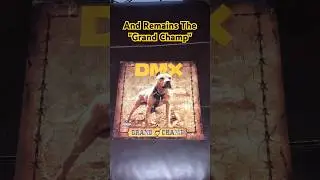 &ldquo;We&rsquo;re Back&rdquo; by: DMX featuring Eve & Jadakiss from the album &ldquo;Grand Champ&rdquo; #vinyl #hiphop #rap #dmx