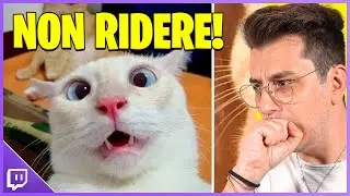 PROVA A NON RIDERE CHALLENGE #2