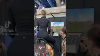 Horse Simulator