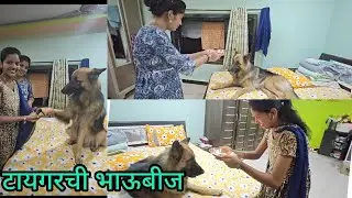 @भाऊबीज टायगरच्या बहिणी आल्या ओवाळायला 😄#dailyvlog #lifevideo