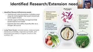 Onion IQ: Podcast: Managing Bacterial Diseases in Organic Onion