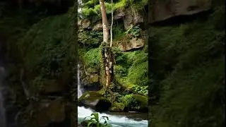 #исцеляющиезвукиприроды #relax #calming #waterfallsounds #antistresssounds #calming #shorts