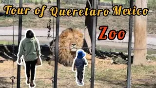 “Querétaro Zoo Full Day Vlog 🇲🇽 | Family Fun, Animals & Travel”