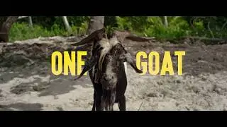 Official Trailer BAD LUCKY GOAT by Samir Oliveros