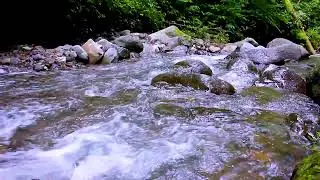 Tranquil river sounds maintaining gentle flow for peaceful uninterrupted nighttime rest