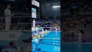 Cat Dives at the Animal Olympics