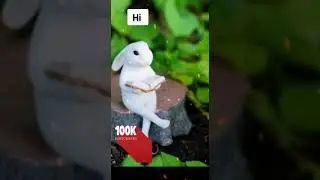 cute bunny❤😆