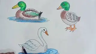 Very easy to draw duck #king duck #drawing