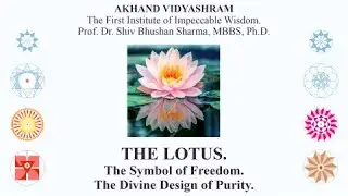 THE DIVINE LOTUS - Represents the First Stage of Creation of 22/21 of Divyank Constant for Freedom.