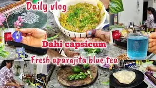 Dahi capsicum recipe | fresh aparajita blue tea |#daily #vlog #rangoli #Dhruthivlog
