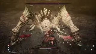 The First Berserker Khazan Aratra Boss Fight (no damage)