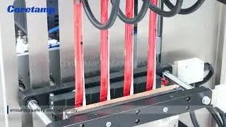 Automatic loquat syrup/cough syrup packaging machine liquid medicine filling laser printer