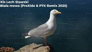 Kis Lech Stawski - Biała mewa (ProXide & PTK Remix 2025)