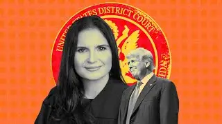 Judge Eileen Cannon to the rescue