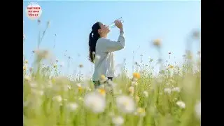 NL🌹Meditatie : Detox ondersteuning
