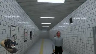 The Exit 8 Stream