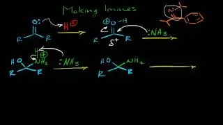 Creating an Imine from a Carbonyl