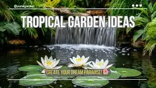 Tropical Garden Ideas: Create a Serene Paradise with Lush Greenery & Vibrant Blooms