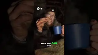 Tim Tam Slam The Ultimate Australian Cookie Trick