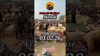 #RahwaliGhakharMandi #goatshorts #goat #goatfarming #mandiupdate #pakistanmandiupdate