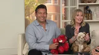 Charlie Bears Collectible Cherry Pie Secret Collection Bear on QVC