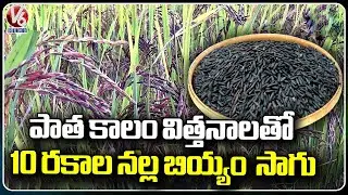 Siddipet Farmer Do 10 Types Of Black Grain Organic Farming At Nagapuri  | V6 News