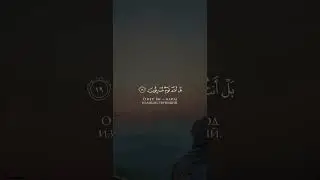 Сура Йа Син Аяты 13-29 Чтец Мухаммад аргунский