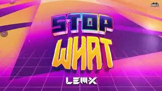 Lem-X - Stop What (HAKCDG023)