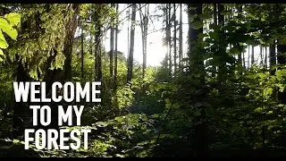 ASMR [ WELCOME TO MY FOREST ] #RolePlay АСМР