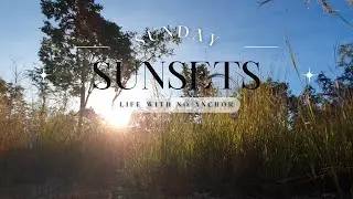 Mataranka Homestead | BEAUTIFUL Outback Bush Sunset at Elsey Cemetery