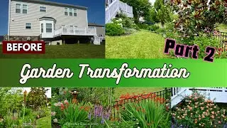 Backyard Transformation||Garden Makeover|Garden Transformation|Desi Garden|Indian Gardening in USA
