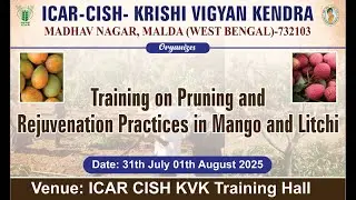 Training on Pruning and Rejuvenation Practices in Mango and Litchi