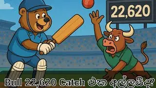 Bull 22,620 Catch එක අල්ලයිද? Colombo stock exchange ASI base analysis 