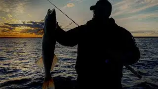 2021 MN Walleye Opener