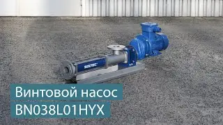 Винтовой насос SOLTEC &reg; BN038L01HYX для перекачивания моторного масла в емкости