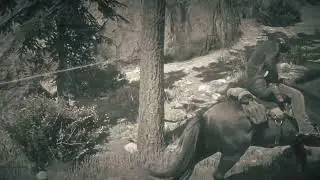 Red Dead Redemption 2 Coach Robbery Mission : Owanjila Coach Tip (Hector Barlow)