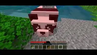 My first minecraft server 