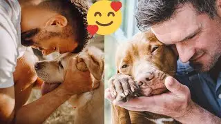 Moments When Dogs Show Affection To Their Owners Makes You Emotional