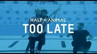 Half the Animal - Too Late (Official Music Video)