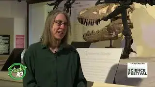MSU Science Festival &lsquo;Nights at the Museum&rsquo;