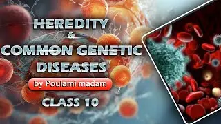 Life science বংশগতির নির্ভুল সমাধান | Heredity and Common Genetic Diseases | Class 10 | Poulami mam