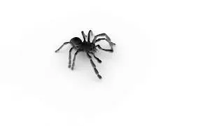 Spider Walk Animation using the Raa rig