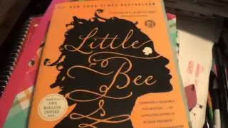 Review of Little Bee