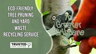 Eco-Friendly Tree Pruning & Yard Waste Recycling in Brisbane | Sustainable Tree Care