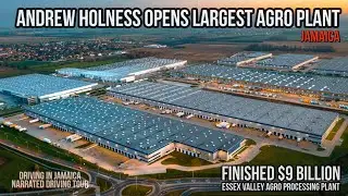 Эндрю Холнесс открыл крупнейший агроперерабатывающий завод на Ямайке.