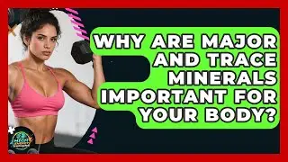 Why Are Major And Trace Minerals Important For Your Body? - High Energy Training Hub