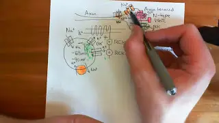The BK Channel